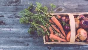 Calling all foodies!  Waterford Harvest Festival returns