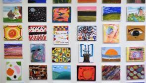 'A tribute to all concerned': Mental Health facilities in Waterford praised by Mental Health Commission