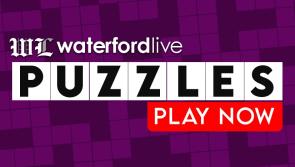Waterford Live Interactive Puzzles