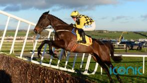 Willie Mullins star likely to pave path to Cheltenham through Waterford again
