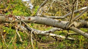 ROAD ALERT: Areas affected by Storm Barra