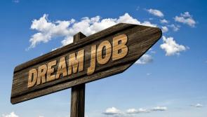Job Alert: Jobs available in Waterford - Tuesday, December 14