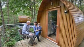 Decision close for controversial glamping planning proposal near scenic walk in Waterford