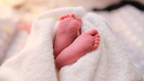 Waterford hospital to pilot new 'Little Baby Bundle', a gift from the State for parents and newborns