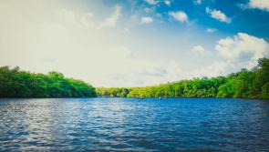 Grants announced to bring benefits to communities and local waters in Waterford

