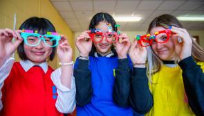 Creativity and critical thinking programme recruiting Waterford mentors for Irish students