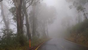 WATERFORD WEATHER: Lingering fog expected this morning (Nov 22) with rain later on
