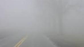 WEATHER: Mist and fog with scattered showers expected in Waterford today (Dec 17)