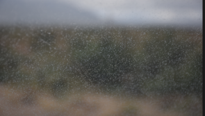 WEATHER: Scattered outbreaks of rain and milder temperatures in Waterford today (Dec 18)
