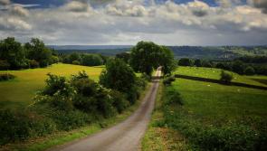 Waterford receives almost €100,000 LIS funding to repair rural roads