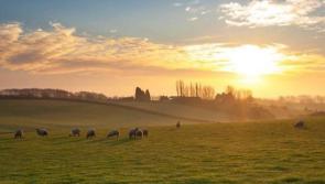 WATERFORD WEATHER: Dry and mild with sunny spells today (April 4)