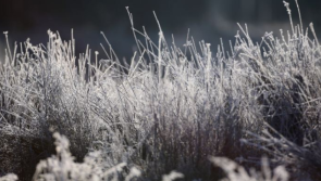 Scattered showers expected in Waterford today (Dec 5) with widespread frost overnight