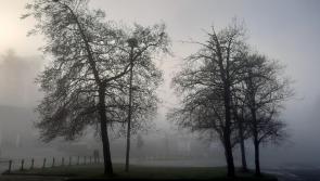 Cold start expected in Waterford this morning (Dec 7) with frost and fog patches