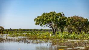 Waterford people invited to attend  World Wetlands Day in Tramore