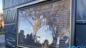 'A shocking decision' - Protesters condemn decision to ‘discontinue’ Glasnevin memorial wall