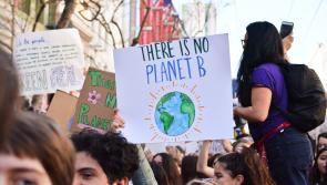 Young people in Waterford invited to take part in European project to relieve eco-anxieties
