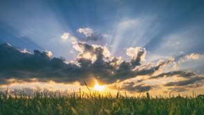 WATERFORD WEATHER: Dry with sunny spells and high temperatures today (May 16)