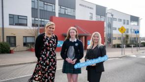 'Handy Hurleys' scoops the  Waterford Student Enterprise award