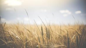 WATERFORD WEATHER: Met Éireann forecasts another dry and sunny day today (April 20) 