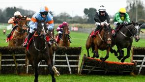 Waterford trainer with just three horses aiming for Grade One glory at Fairyhouse 