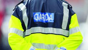 Appeal for witnesses as Gardaí investigate serious assault in Waterford
