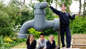 Waterford households encouraged to conserve water as new survey reveals over half admit to wasting it