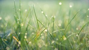 WATERFORD WEATHER: An unsettled weekend ahead with heavy showers and spells of sunshine 