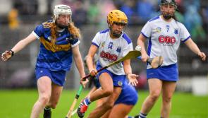 In Pictures: Waterford's win over Tipperary