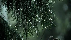 WATERFORD WEATHER:  A breezy day with long spells of rain expected