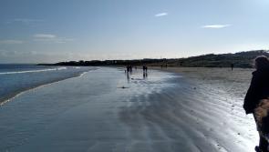 Water Safety Ireland issues appeal to Waterford public after tragic drownings