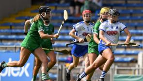 IN PICTURES: Waterford defeat Limerick to earn All-Ireland semi-final spot