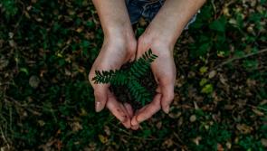 Waterford business owners invited to apply for free sustainability programme