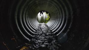 Waterford public warned of risk of Weil’s Disease following heavy rainfall
