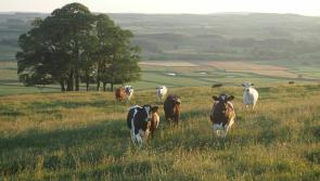 Waterford farmers among team moving from the field to the front line of sustainable dairy