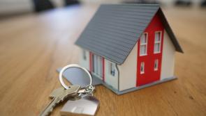 'The right to housing in our Constitution' – Views sought from Waterford public for housing referendum
