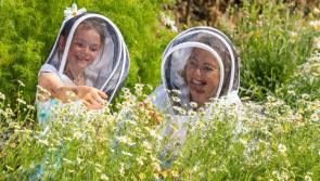 Ambitious  Waterford Honey Show aims to develop into international event