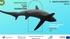 'Us & The Big Blue' - Free art exhibition now on display in Waterford Library from local artist
