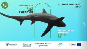 Memories of the sea art exhibition inspired by Tramore to run for September