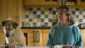 Award winning Irish language film set and shot in Waterford comes to cinemas