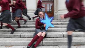 Waterford primary schools encouraged to 'think about Europe' through Blue Star Programme