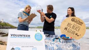 15 locations in Waterford to get 'Big Beach Clean'