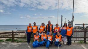 Waterford volunteers join record breaking Big Beach Clean 2022  

