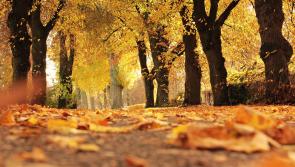 WATERFORD WEATHER: Mainly dry today with heavy rains expected later