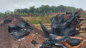 Waterford Gardaí investigate after wooden sculpture set on fire