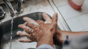 Pandemic improves Waterford hand hygiene habits, research reveals