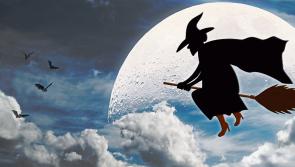 REVEALED: What people in Waterford are searching for this Halloween