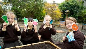 GIY launch the ‘GROW At School’ Food Education programme in Waterford