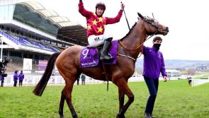 'He’s in great form' - Waterford trainer de Bromhead plans Tramore date for Minella Indo