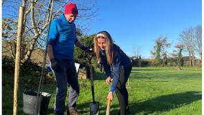 Trees planted to create wildlife hub at Waterford school