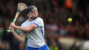 39 Waterford hurlers named in Fitzgibbon Cup panels